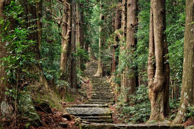 ¡Caminemos por el Kumano Kodo! ~Viaja por un lugar Patrimonio de la Humanidad~Recorrido recomendado y lugares aledaños