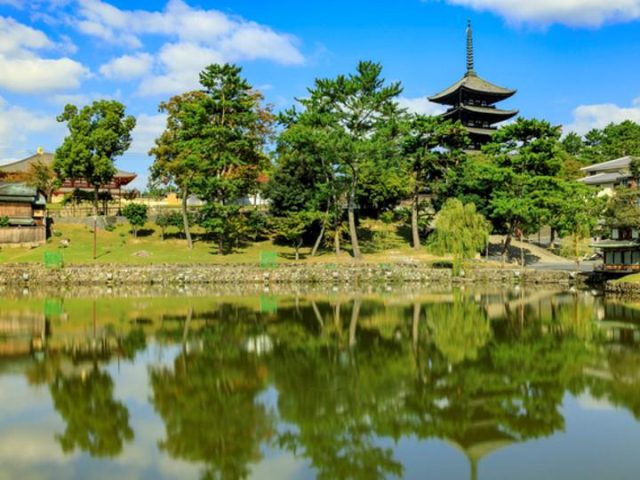 Un trésor de trésors nationaux et de biens culturels ! Top 5 des sites du patrimoine mondial à visiter dans l'ancienne Nara