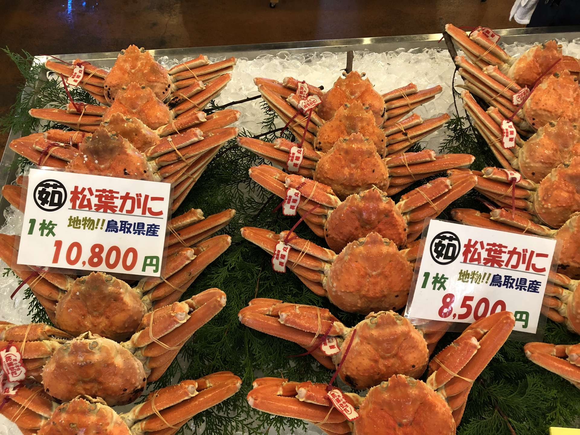 Durante la temporada del cangrejo de Matsuba, entre noviembre y marzo, los compradores vienen de lejos.