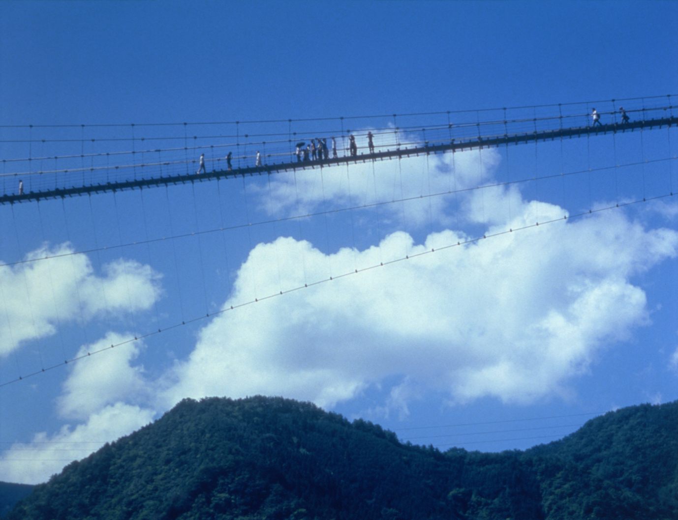 "Tanize Suspension Bridge" est l'un des plus longs ponts suspendus du village de Totsukawa, adjacent au quartier de Shinohara.