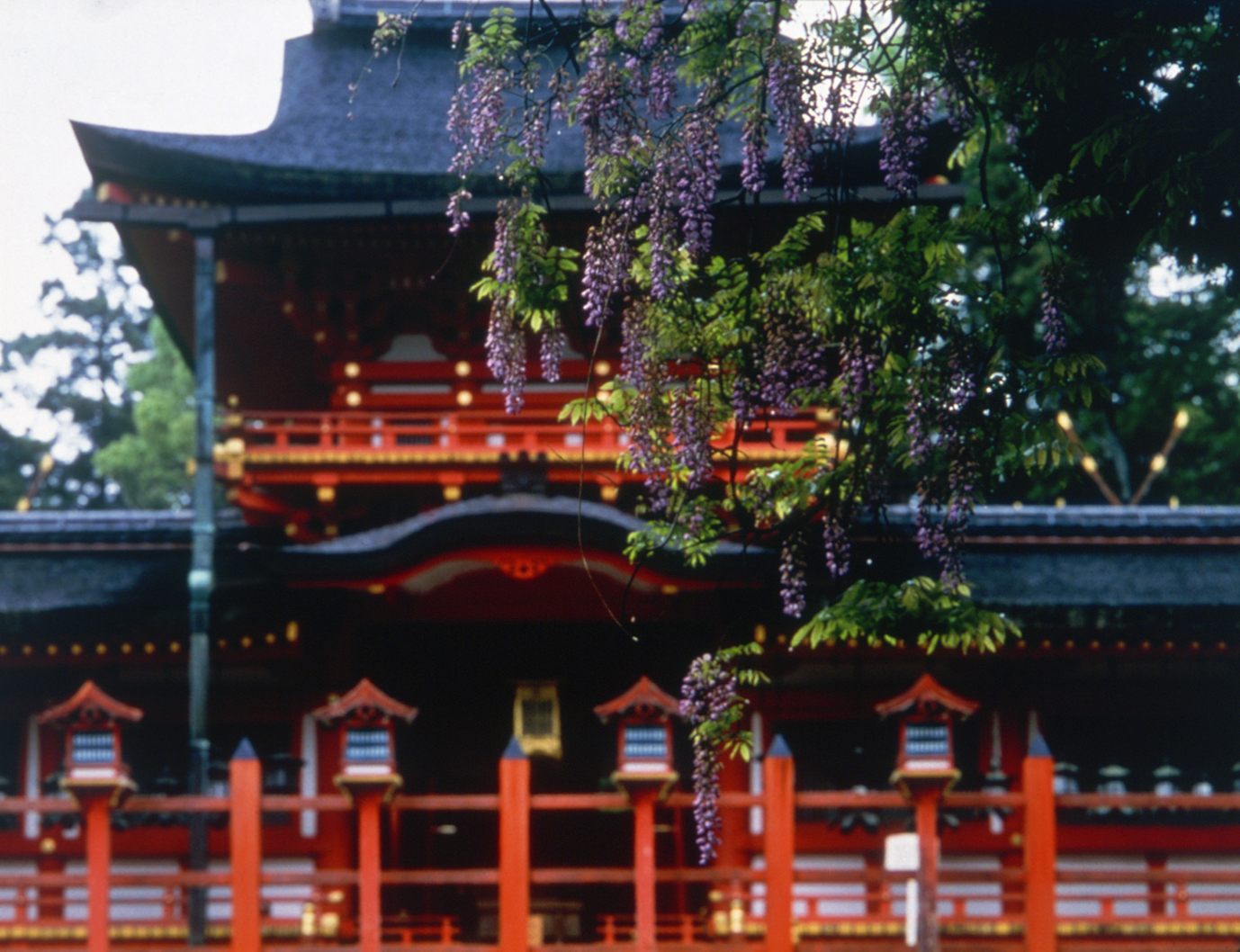 Siège d'environ 3 000 sanctuaires Kasuga dans tout le pays
Photo publiée avec l'aimable autorisation du bureau des visiteurs de Nara