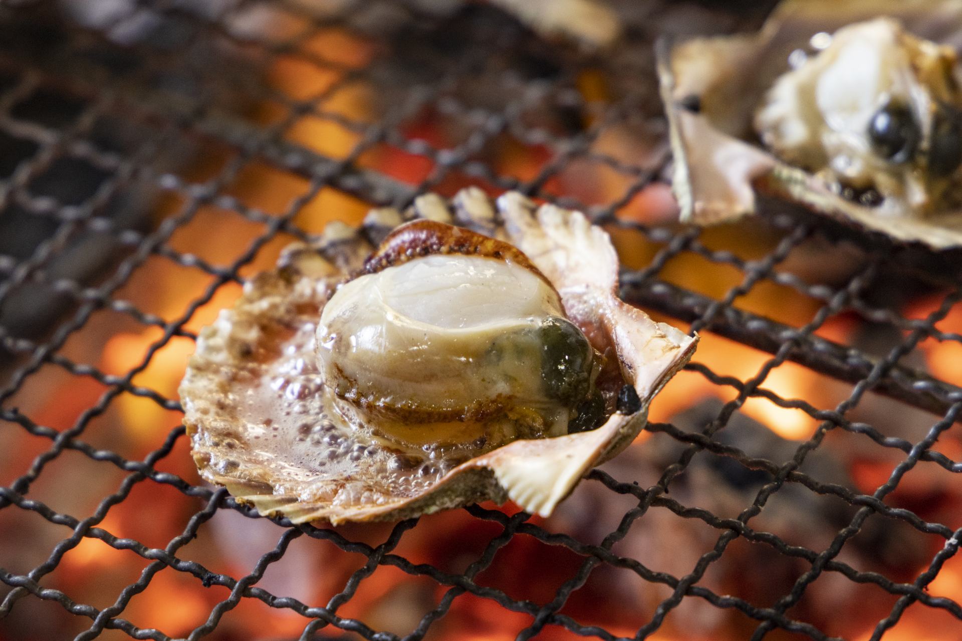 Fresh scallop on the grill. 
