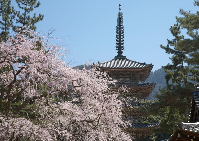 Temple Daigo-ji
