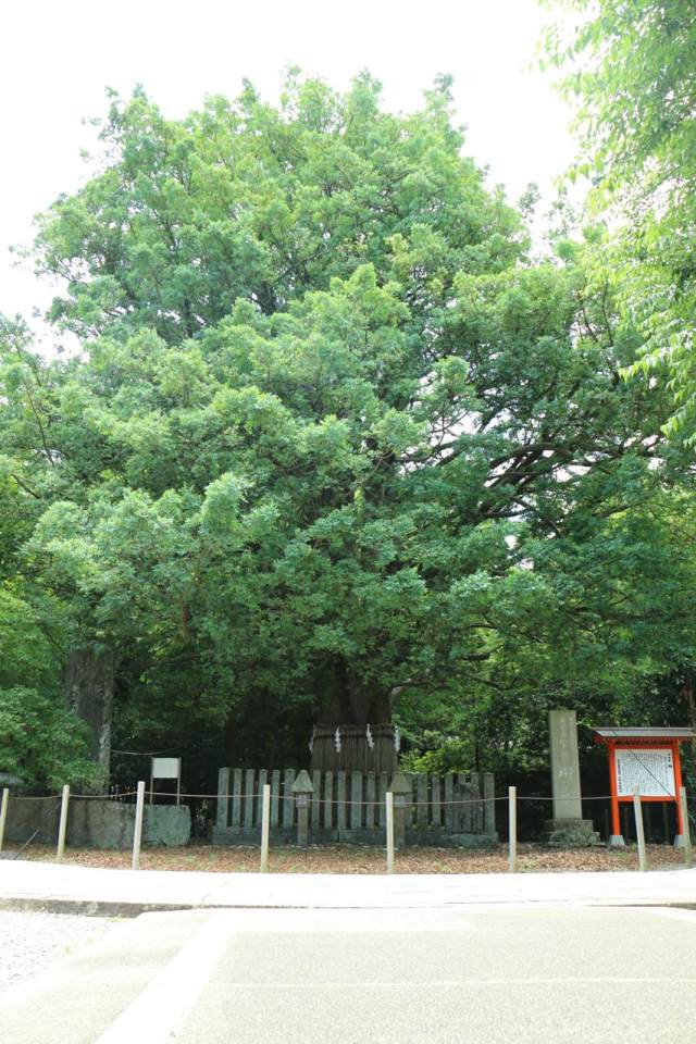 Grand sanctuaire Kumano Hayatama