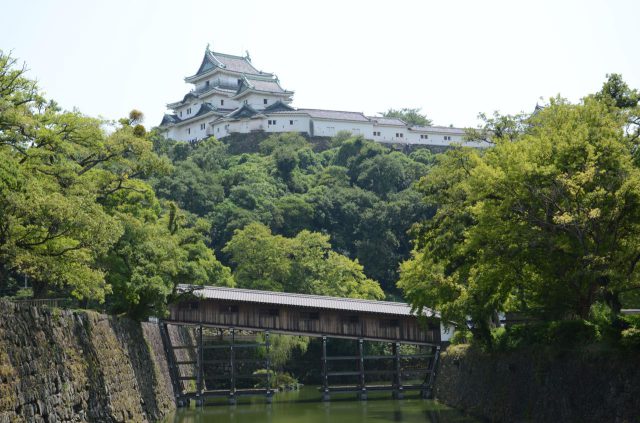 Castillo de Wakayama
