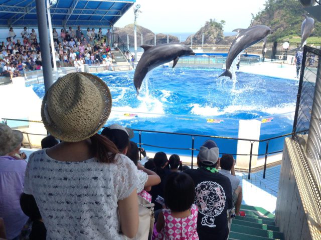 Aquarium d'Echizen Matsushima