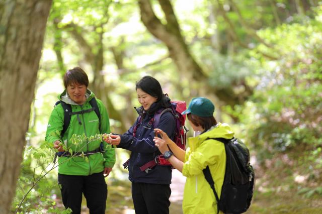Our guide’s explanation will increase your appreciation of the experience
一般社団法人　大山観光局