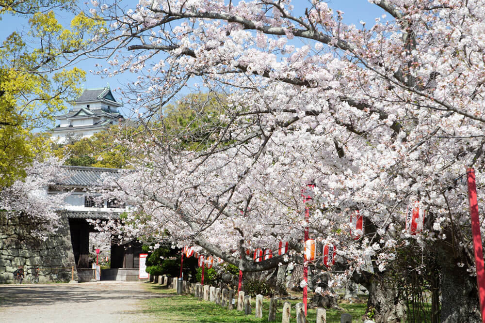 豊臣秀長ゆかりの城