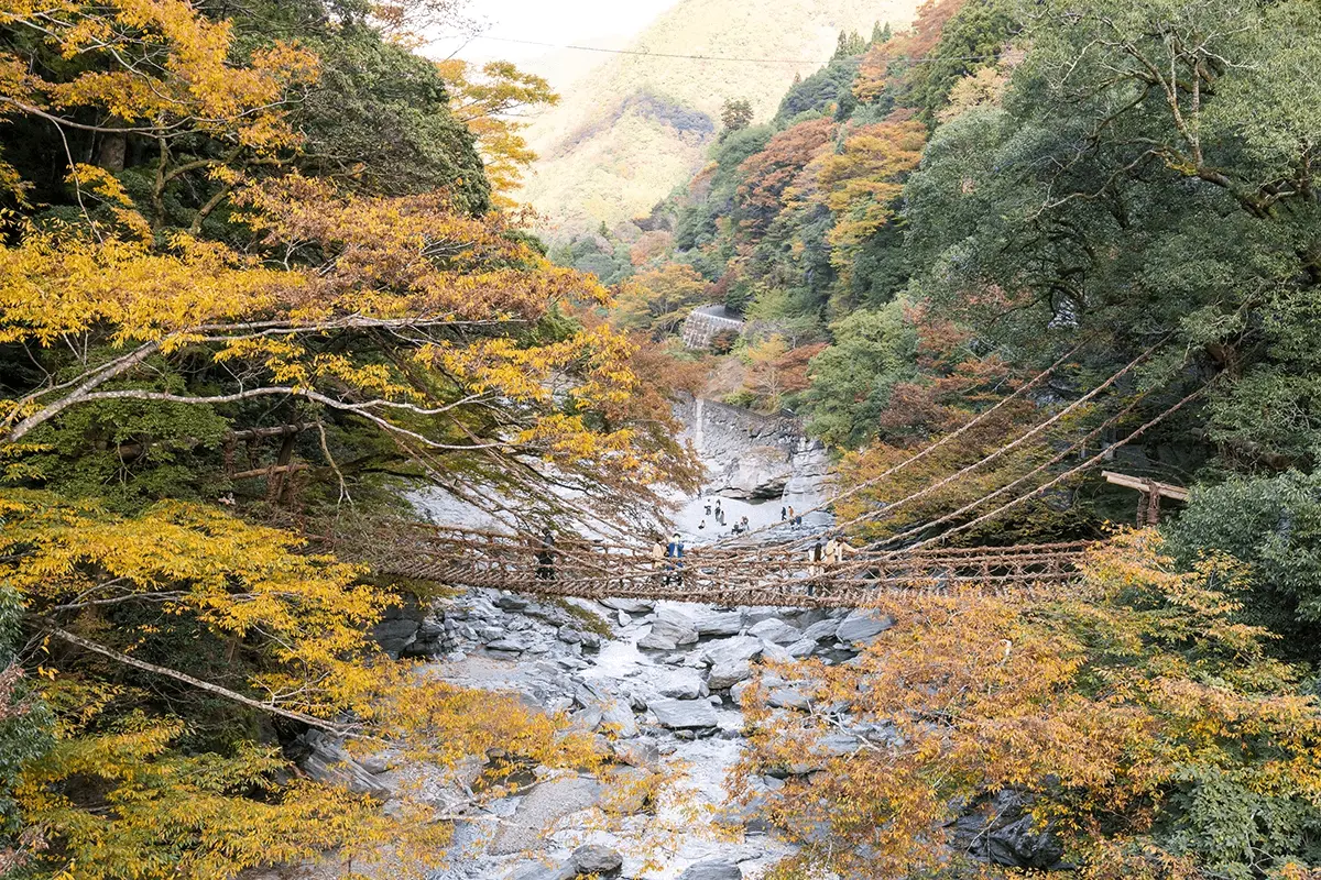 Finding the heart of beautiful people in TOKUSHIMA