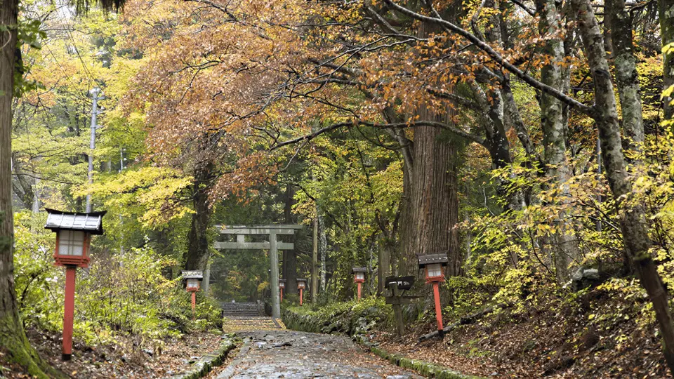 Join an Eco Tour on Historic Mt. Daisen