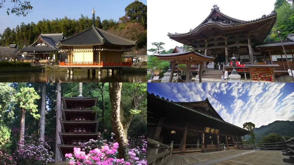 Discover the famous Nara temples on this celebrated pilgrimage trail