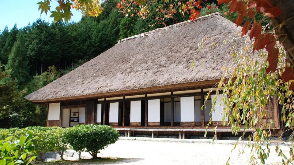 Uncover Iya Valley's natural wonders, Samurai culture and culinary traditions