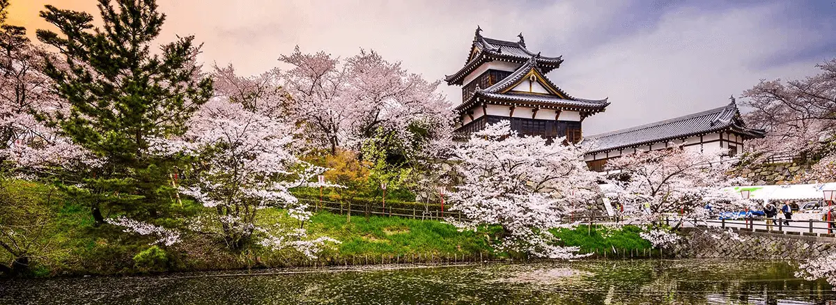 Discover Japan: Where Art Meets Nature