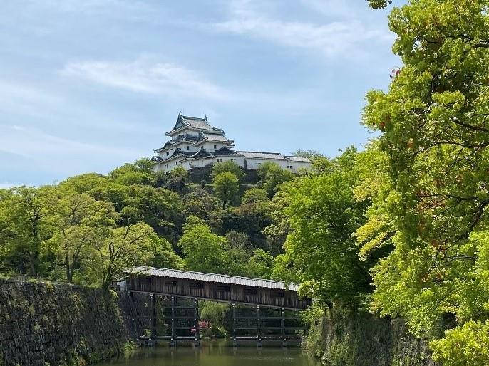 和歌山城、寺院和庭園：1