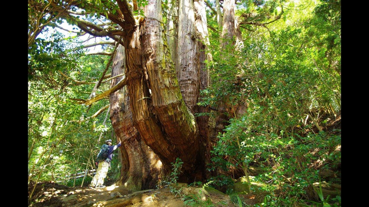 民衆を突き動かした聖地、自由への憧れが宿る道を歩く