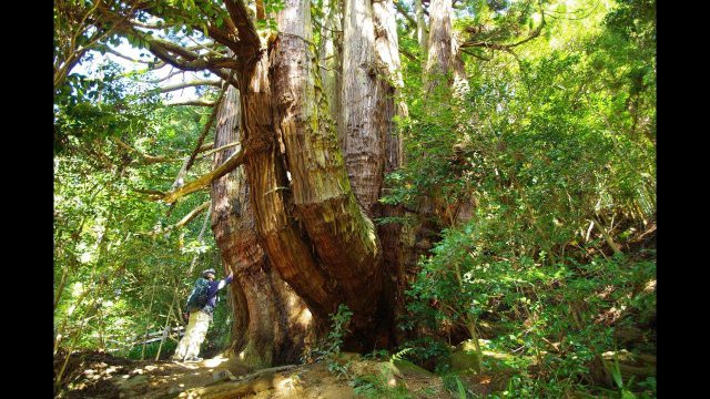 The road to the most sacred site— a journey of freedom