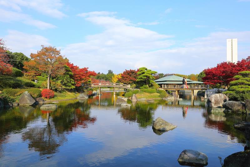 jardín japonés