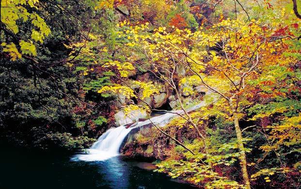 Year-Round Beauty TOTTORI FOR ALL SEASONS