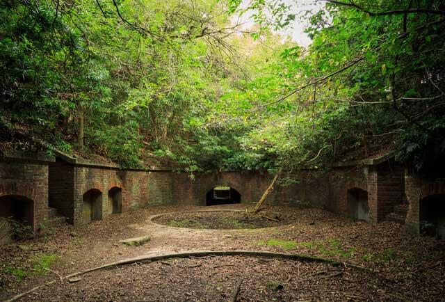 Excursión de un día desde Osaka Disfruta del paisaje fotogénico en la isla deshabitada de Tomogashima