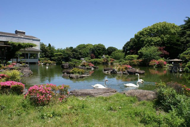 Camino de peregrinación de la historia del sake de Wakayama