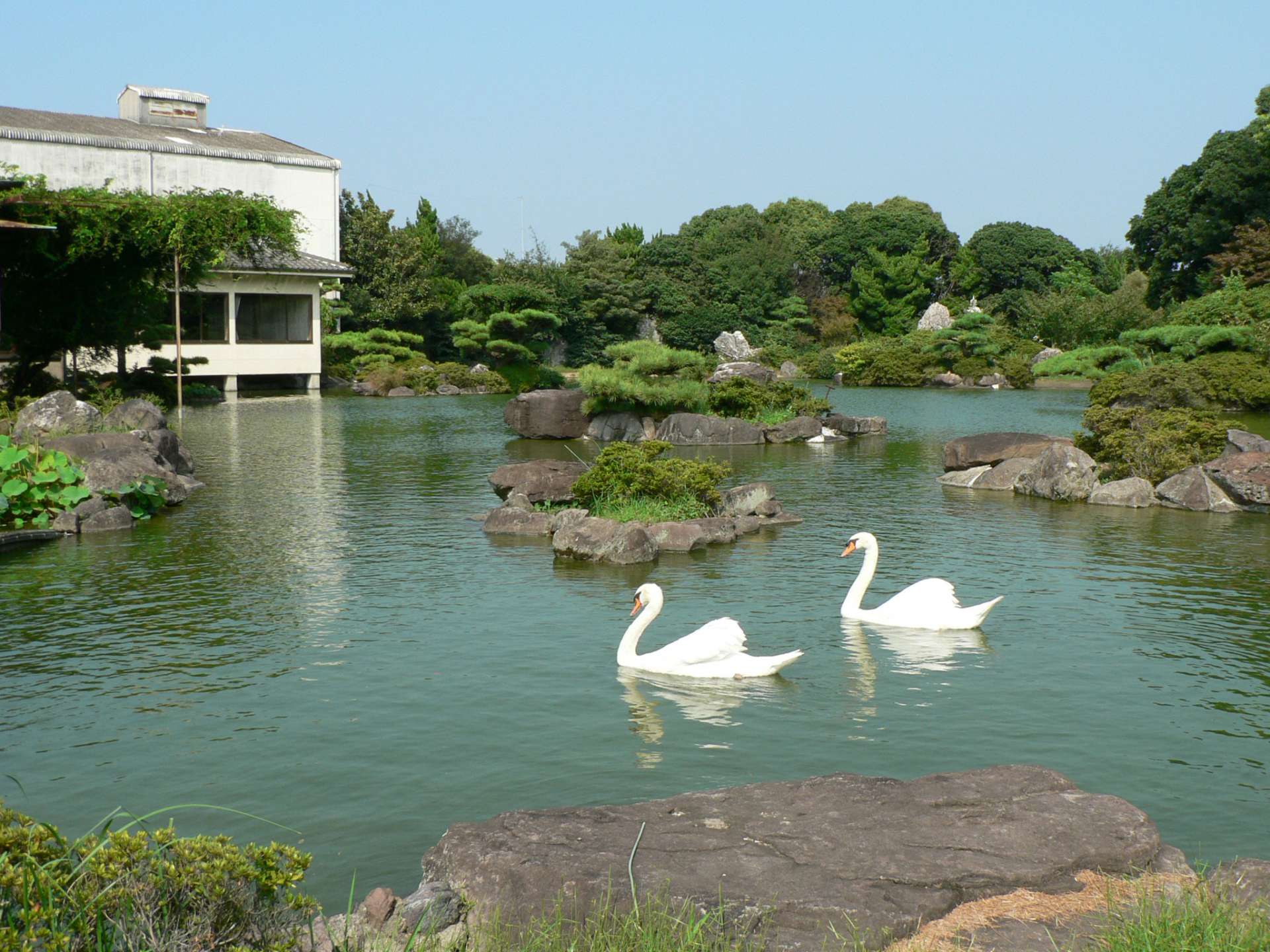 Tales of Sake in Wakayama Pilgrimage Routes