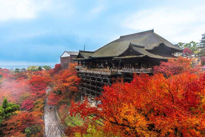 ¿Desapruebas las palmas? ¿Es diferente a un santuario? Modales que debes saber al visitar un templo y templos para visitar en el área de Kansai