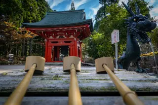 拍手はNG?神社と違う?お寺を参拝する時に知っておきたいマナーと関西エリアで訪れるべき寺院