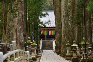 真的可以住寺院嗎？世界遺產高野山修行體驗4次