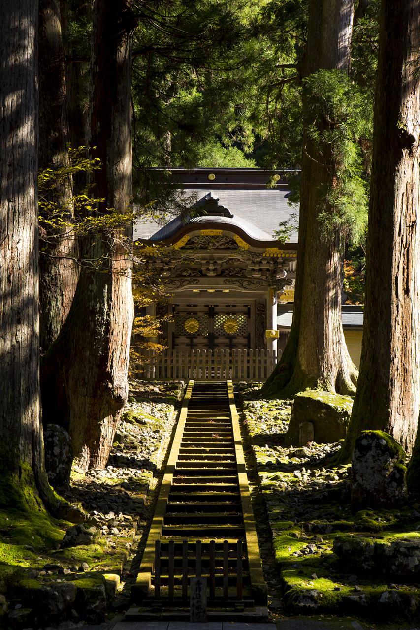 A day to get in touch with the heart of Japan. Experience “Zazen” at the sacred home of “Zen”, then visit the old castle town.
