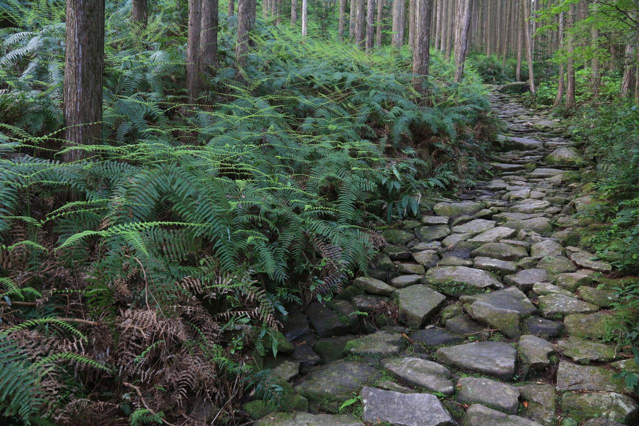 De Ise Jingu a Kumano Sanzan, Iseji, el camino de la oración por la paz en el más allá