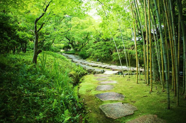 松花堂