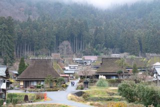 Thatch Roof Fuki-kae Experience