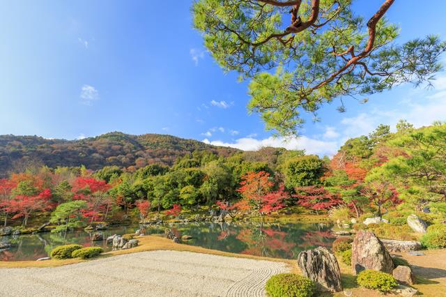 Si quieres disfrutar de la belleza de Japón, ¡ve aquí!5 jardines japoneses que debes visitar en Kioto