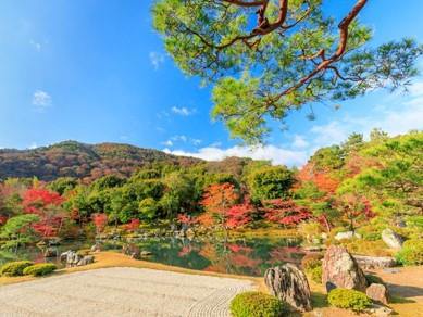 5 Japanese-style Gardens in Kyoto to Appreciate Japanese Beauty