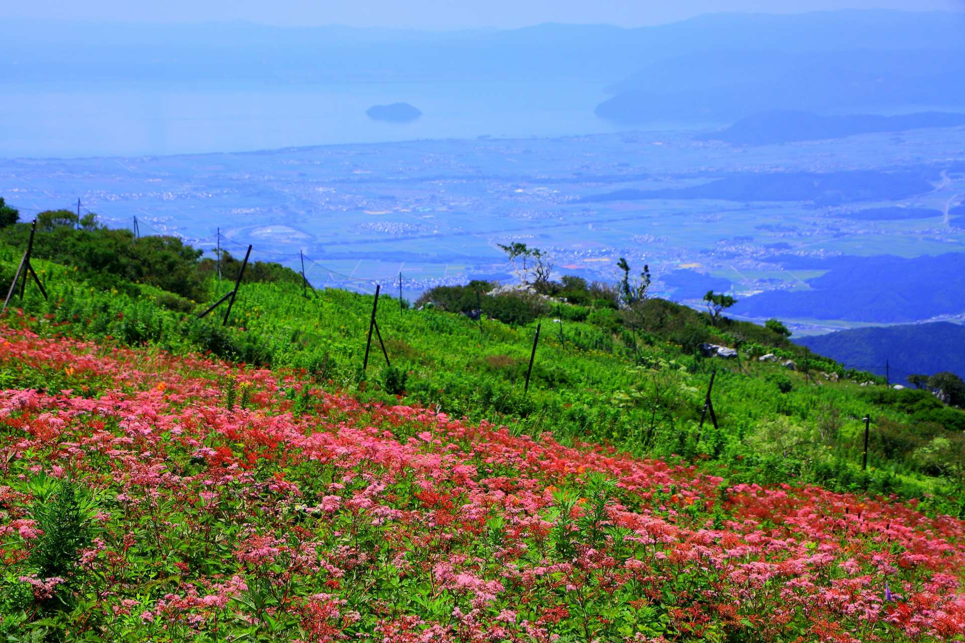 Wildflower gardens decorate the summit of Mt. Ibuki, where visitors can also see rare alpine plants.
