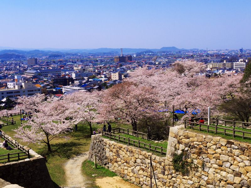 標高263ｍの久松山（きゅうしょうざん）に鳥取城は築かれた。各時代の貴重な遺構は必見。