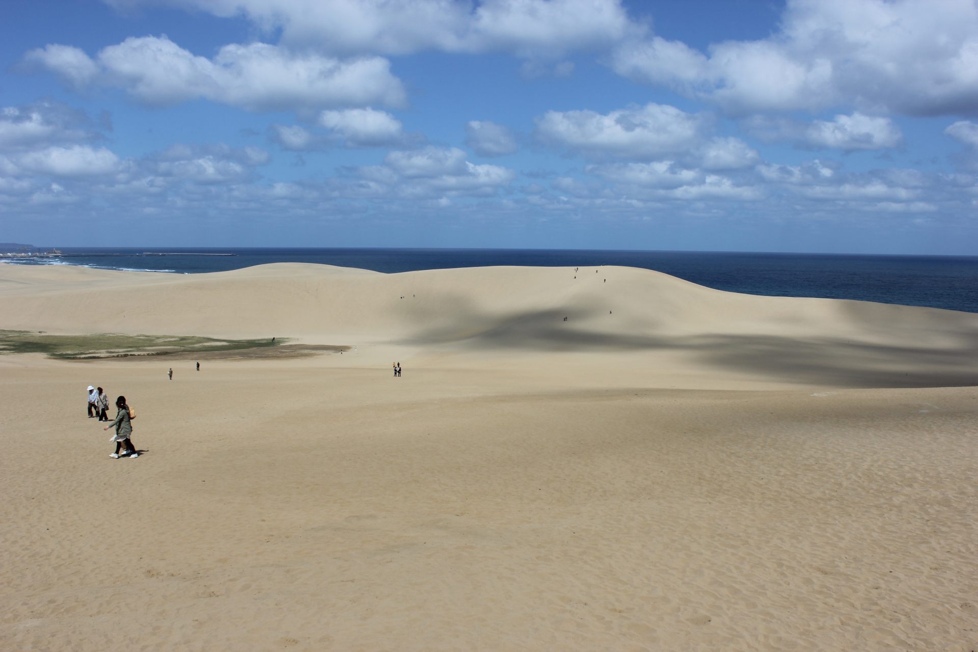 Stop by at the visitors Center on Tottori Sand Dunes and see displays on sand dunes and the geopark. A guide is always there as well.
(Photo provided by Natural Park Foundation Tottori Branch)
