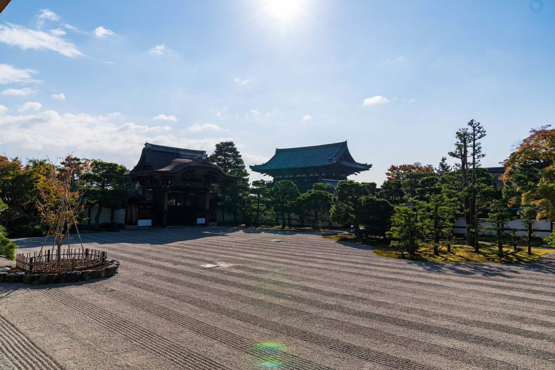 早朝の清浄な空気の中、御殿から眺める庭はまた格別