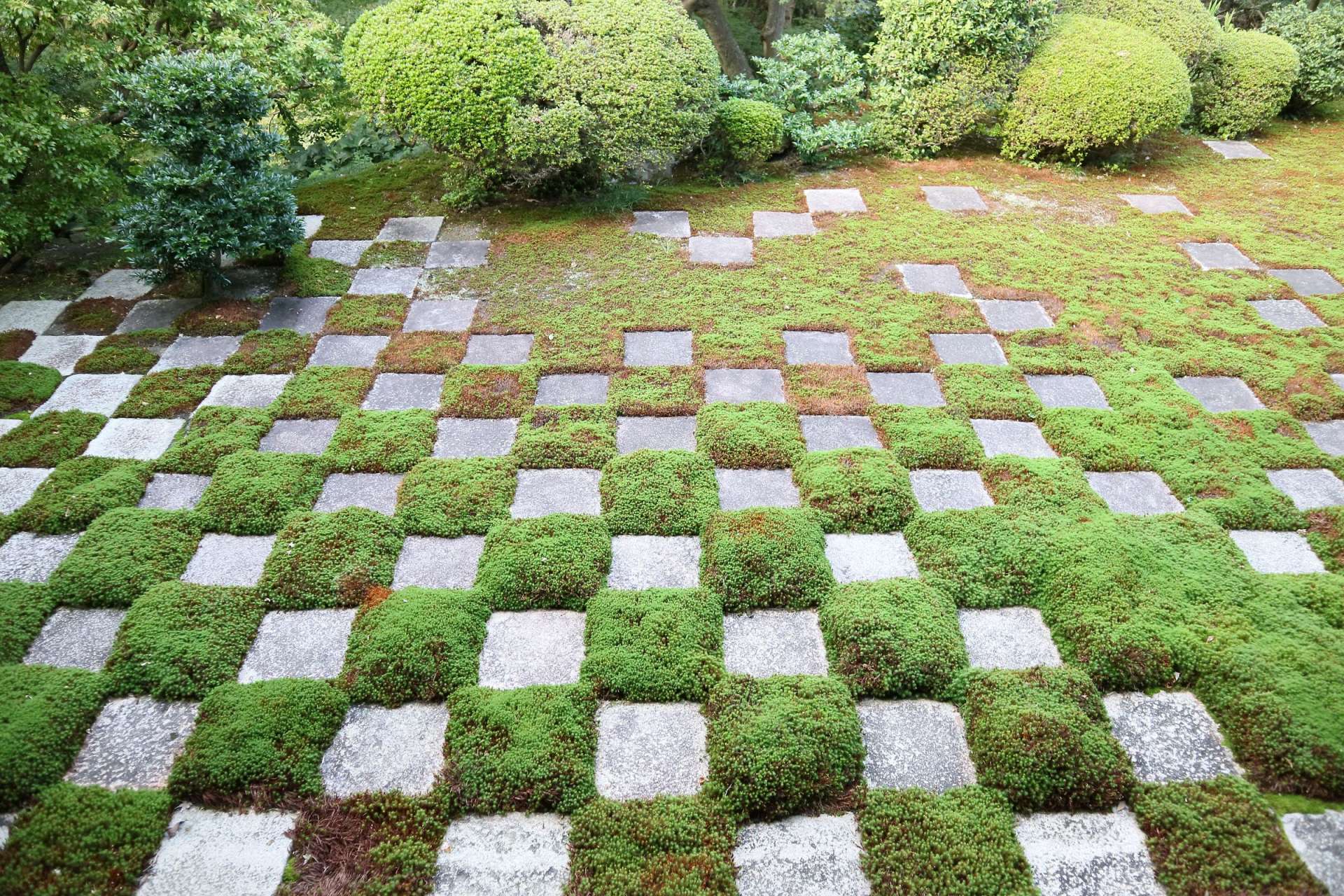 "Jardín del oeste" del jardín Tofukuji Hojo "Hasso no Niwa". Impresionante patrón a cuadros de piedras y musgo
Foto cortesía de Chiyo Shigemori