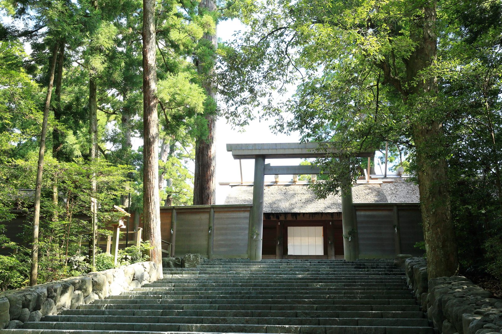Feel the holy air while climbing the stone steps to the Goshogu for a special pray.
（c）JINJA SHICHO
