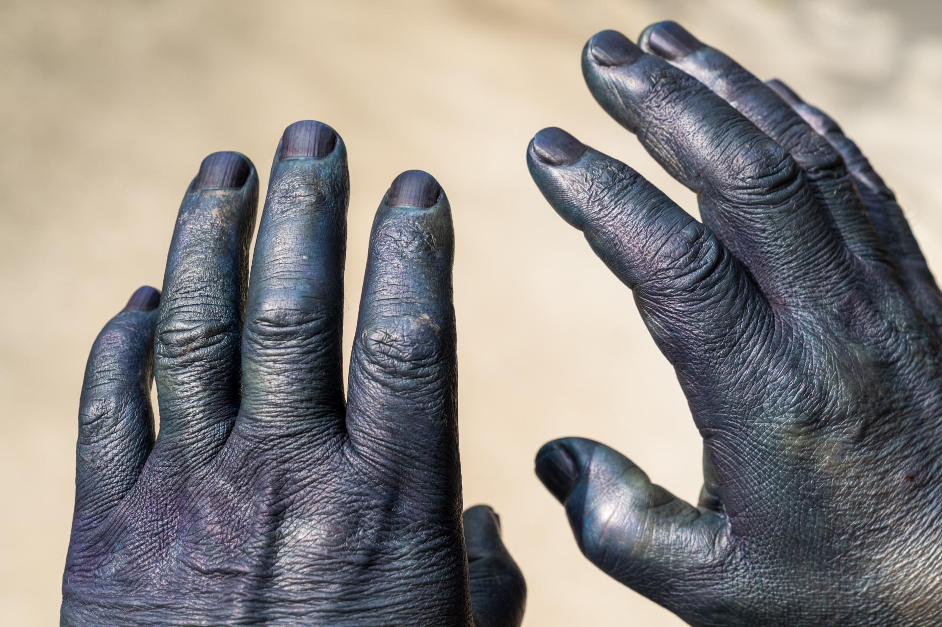 La mano del Sr. Yano teñida de añil. También es un orgullo como auténtico artesano del teñido añil.