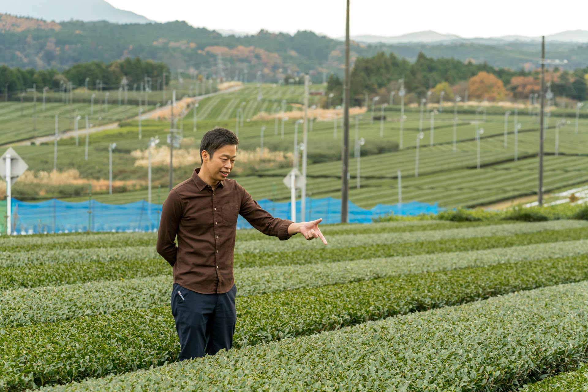 Kenji Yoshinaga, the 7th generation head of the long-established plantation guides visitors around the tea fields.