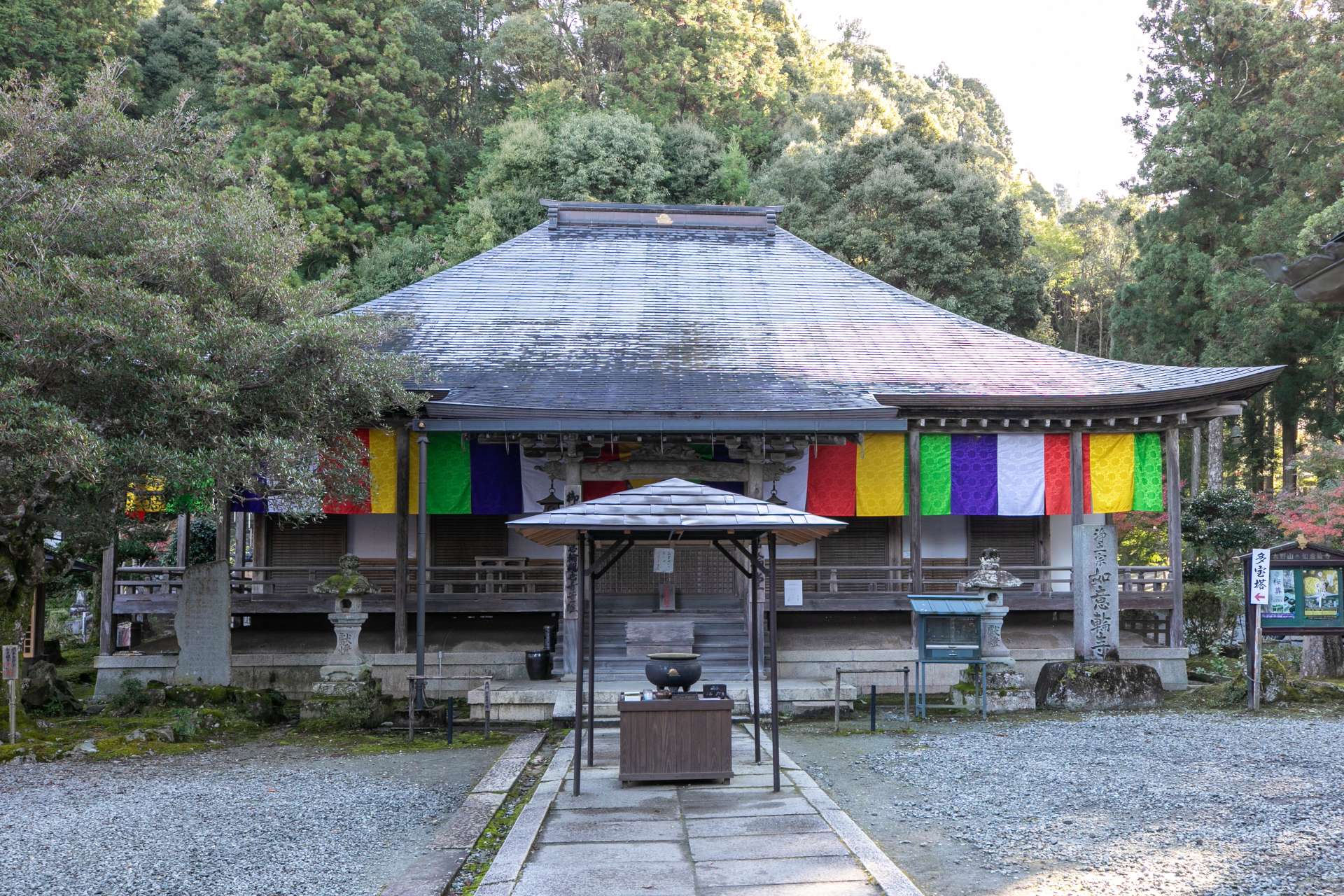 Nyoirinji 有一个安静的山寺的气氛。春天，整个地区都被美丽的樱花覆盖。