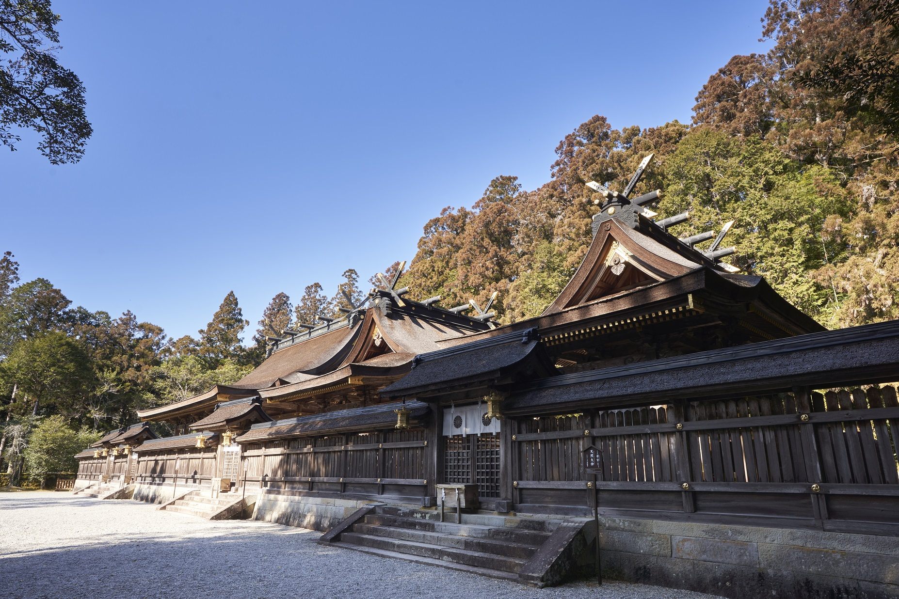 Shaden (shrine buildings) stand in a row with the forest behind them. In the middle is the third shaden, the Shojo-den.