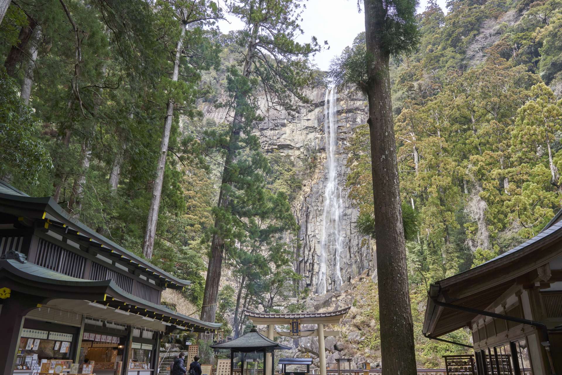 飛瀧神社の御神体である滝を境内から遥拝