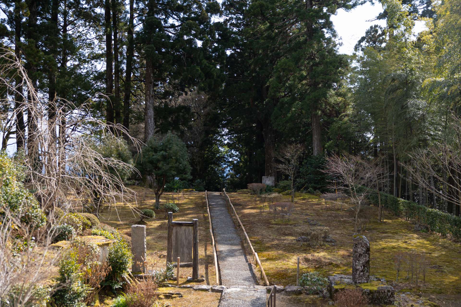 春には花々が咲き誇る庭。木々の向こうには熊野灘の眺望が広がる