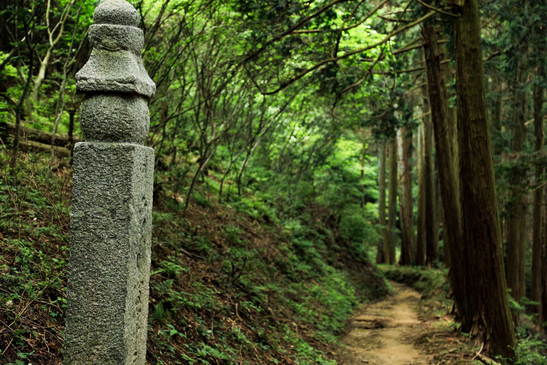 Choishi are stone pillars that mimic the shape of a gorinto, or five-tiered pagoda. They were originally made of wood but can now be seen in this stone construction popularized during the Kamakura period (1185-1333). 