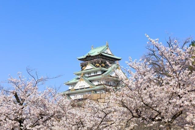 例年の見頃：3月下旬～4月上旬