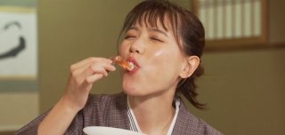 関西新発見の旅!「THE EXCITING KANSAI」山陰海岸編