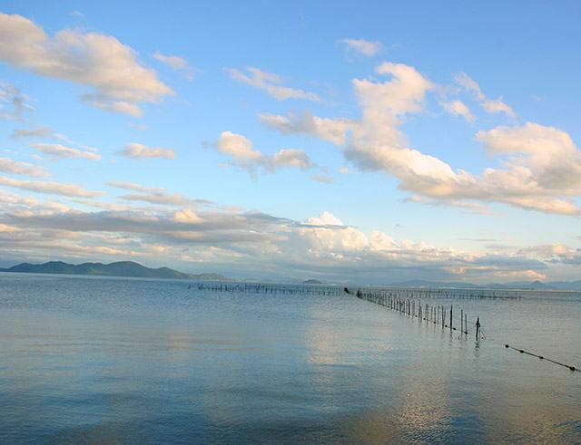 琵琶湖のエリ（湖岸に矢印型に網を張る）